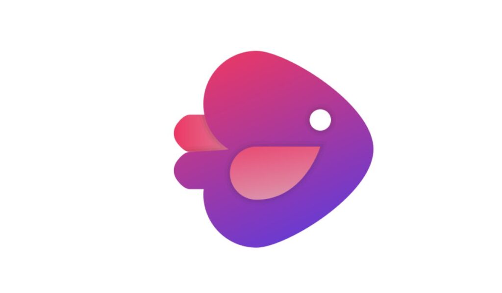 invideo review